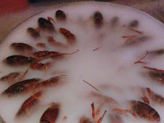 -红盔甲·小龙虾(车公庙店)