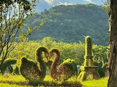 -东南花都花博园