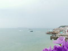 -东极岛景区