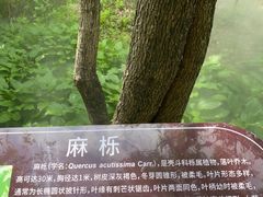 -江苏三台山国家森林公园