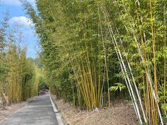 -水底山庄园温泉