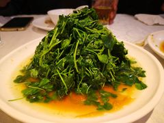 酒香草头-阿英煲(凉城路店)