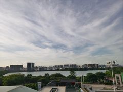 -立新湖公园