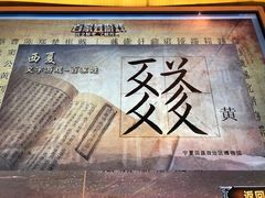 -宁夏博物馆