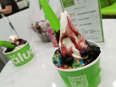 -Salud撒露欧洲冻酸奶(五道口购物中心店)
