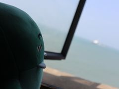 -东极岛景区