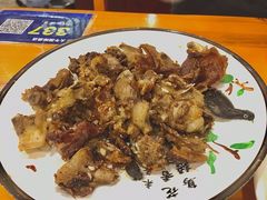 -兴芮温泉度假区