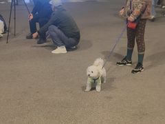 -王府井天主教堂