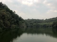 -李小龙乐园(顺德均安店)