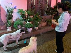 -曾福兴