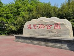 -莲花池公园