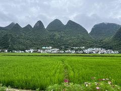 -万峰林风景区
