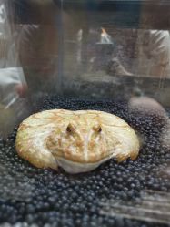 -Zoolung Zoolung动物主题公园(海信广场店)