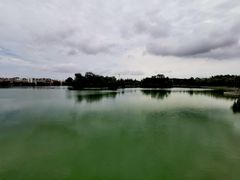 -莱西月湖公园