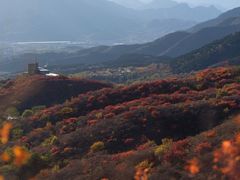 -北京西山国家森林公园