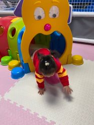 -美加乐儿童乐园(江宁文鼎广场店)