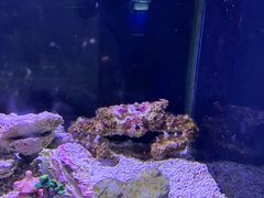 -芜湖新华联大白鲸海洋公园