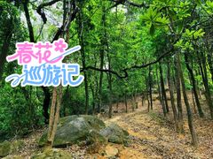 -广州市帽峰山景区