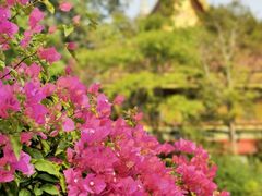 -曼听御花园