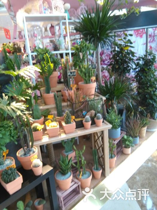 一米花坊(吾悦广场店)图片 - 第2张