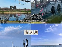 -顾村公园
