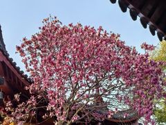 -丝绸小镇荻港古村