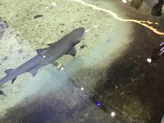 -鸿通城购物中心