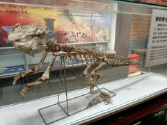 -游龙石文化科普馆