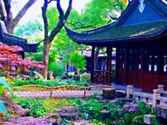 -上海醉白池公园