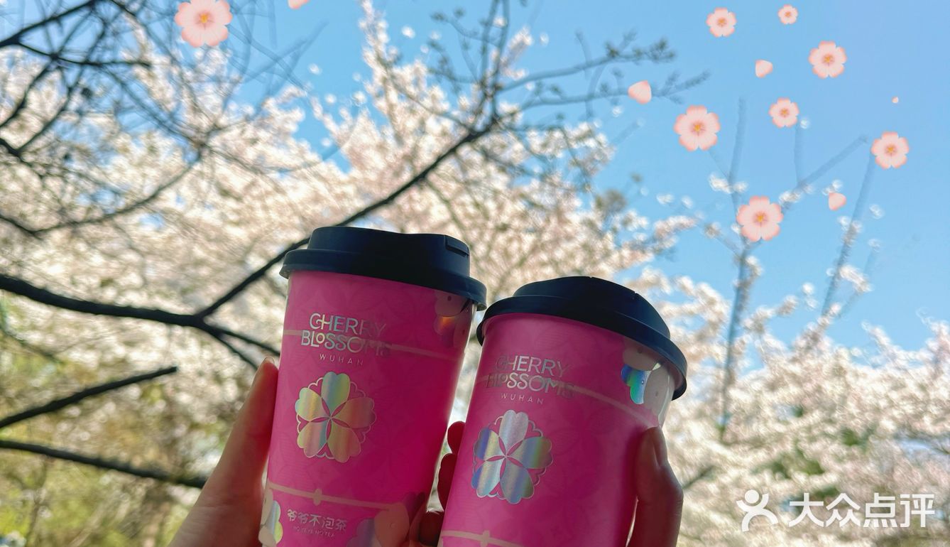 周末来青龙寺拍照竟然偶遇了“爷爷不泡茶”摊位！