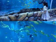 -华夏文旅海洋公园