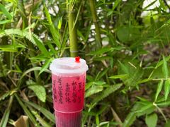 -悸动(吴泾宝龙广场店)