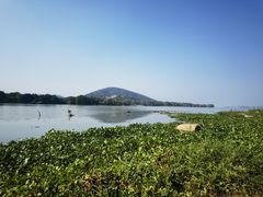 -长广溪湿地公园