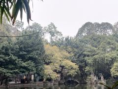 -棠湖公园