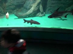 -常州海昌海洋探索馆