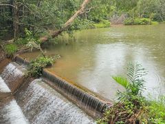 -热带雨林自然公园