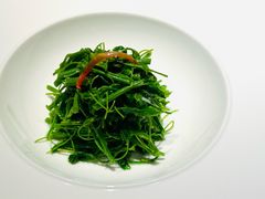 -觀芷隐轩