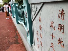 -上海长兴岛郊野公园