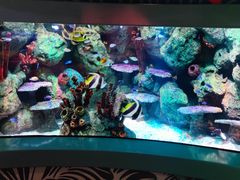 -沈阳海洋探索中心