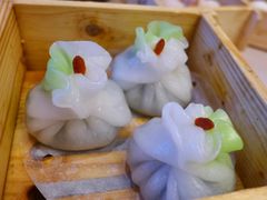 素饺-乙龍天