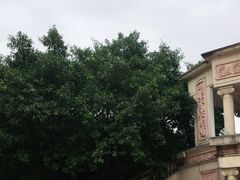 -南国桃园旅游度假区