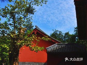 成都攻略 | 在成都觅得这样一静处——南郊公园