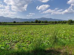 -野鸭湖国家湿地公园