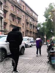 -金太子形象设计