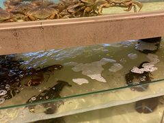 -芜湖白金汉爵大酒店