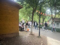 -合肥野生动物园