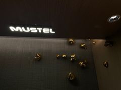 -MUSTEL木文缇酒店(广州知识城旺村地铁站店)