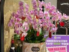 -餮熹Tipsea法餐(吉大店)