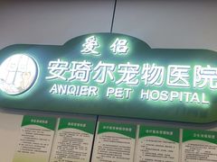 -爱侣·安琦尔宠物医院·中兽医针灸·心内科·狂犬免疫点(宝山区院)