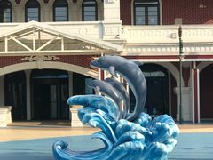 -芜湖新华联大白鲸海洋公园